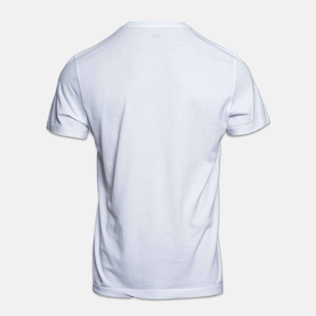 A plain white short-sleeve crewneck t-shirt shown from the back, displayed on a light gray background. PAIGE T-Shirt available at Sakks Menswear in Southampton.